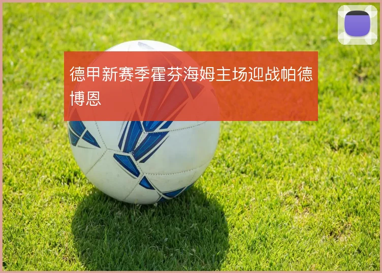 德甲新赛季霍芬海姆主场迎战帕德博恩