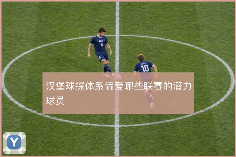 汉堡球探体系偏爱哪些联赛的潜力球员
