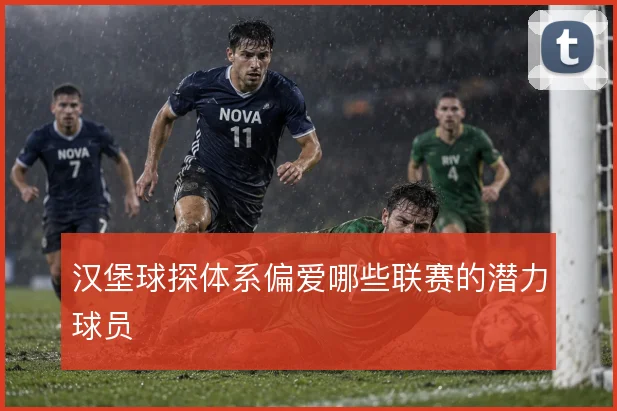 汉堡球探体系偏爱哪些联赛的潜力球员