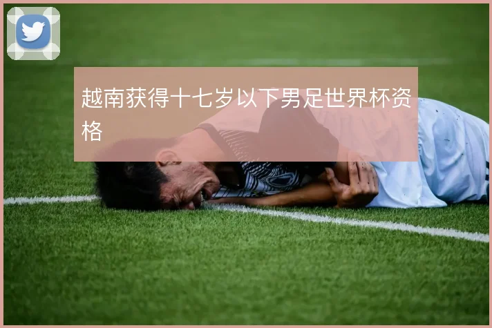 越南获得十七岁以下男足世界杯资格